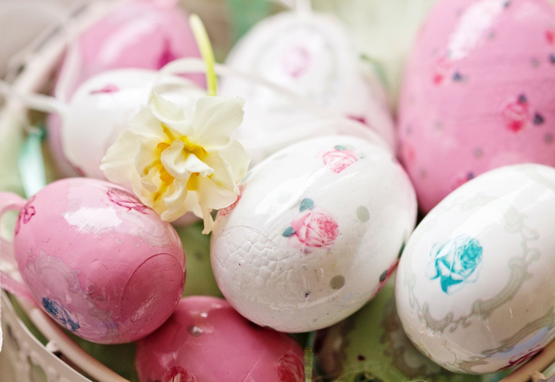 ostern feiertag frühling eier ostern rosa grün gemalt blume weiß