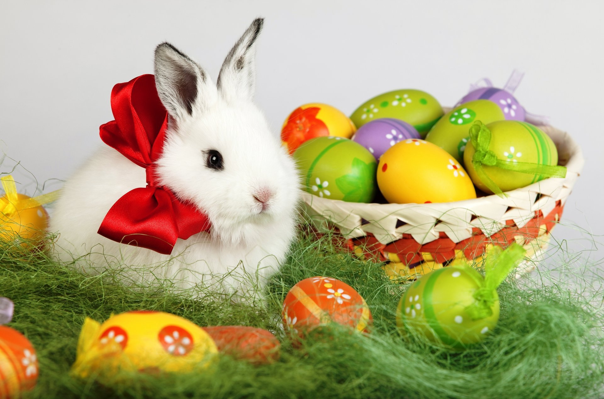 pâques printemps vacances oeufs pâques panier lapin blanc arc