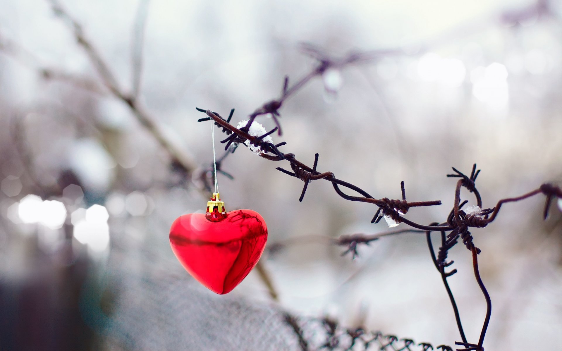 holidays holiday christmas toy shape heart red grid fence gate blur background wallpaper widescreen fullscreen widescreen holiday christmas toys red spot widescree