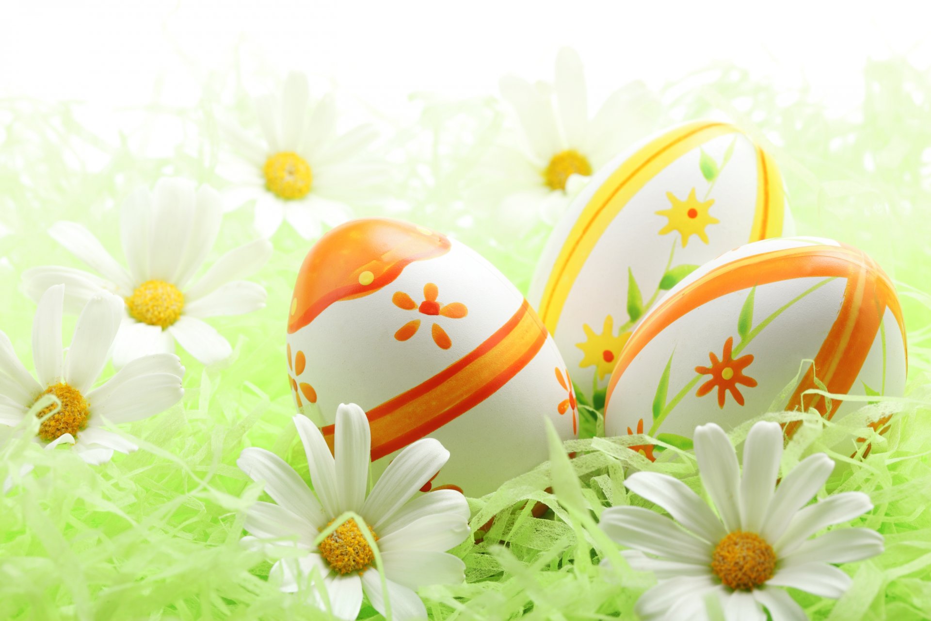 easter holiday chamomile egg