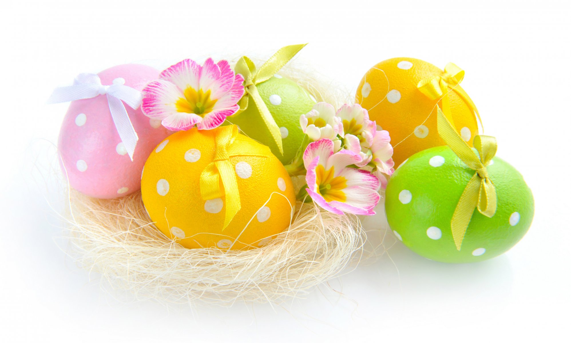 easter eggs spring flower