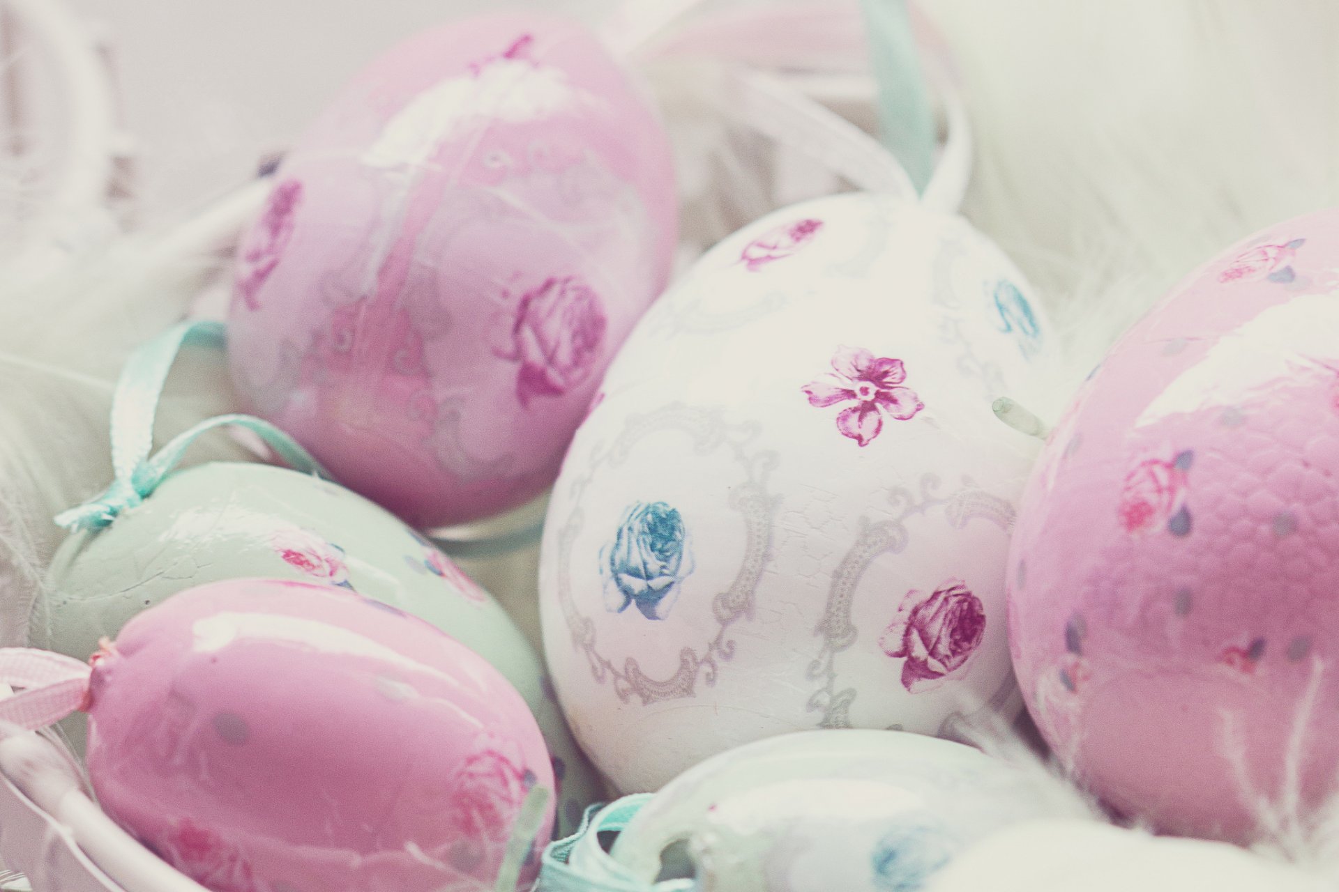 easter spring holiday eggs easter white pink painting rose