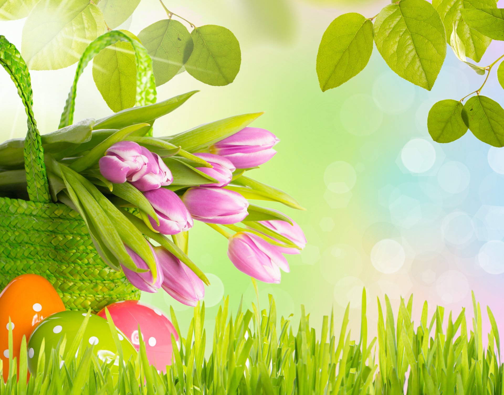 flower tulips grass leaves spring eggs easter