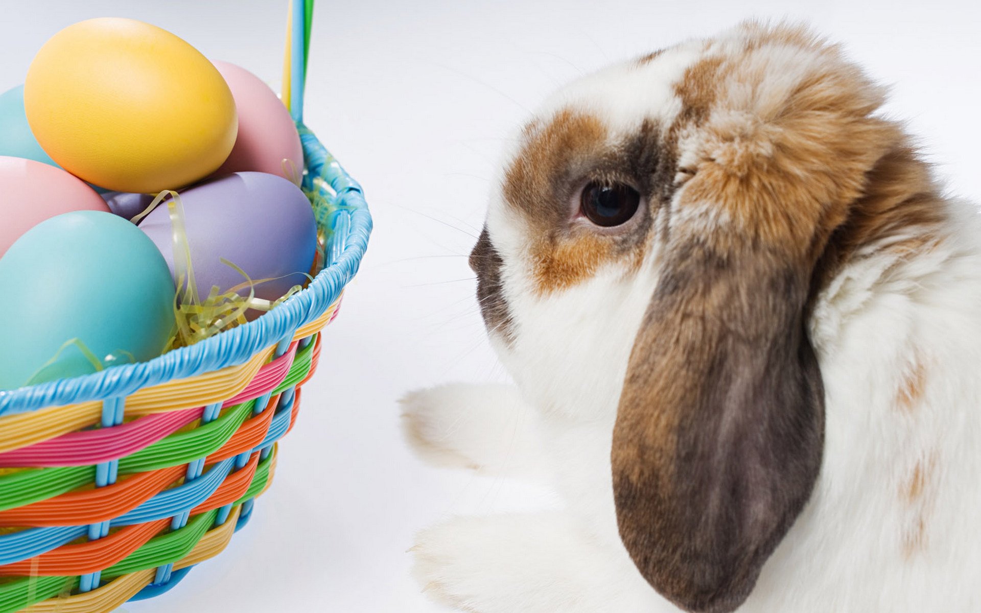 easter basket with eggs rabbit