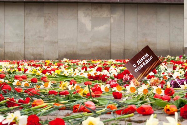 Feliz día de la victoria muchos tulpanes en el monumento