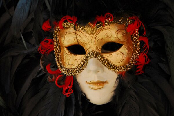 Masque de carnaval pour mascarade ou bal