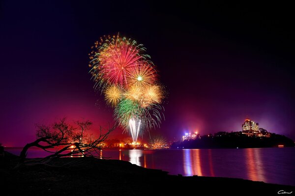 Feuerwerk über dem Wasser in der Nacht