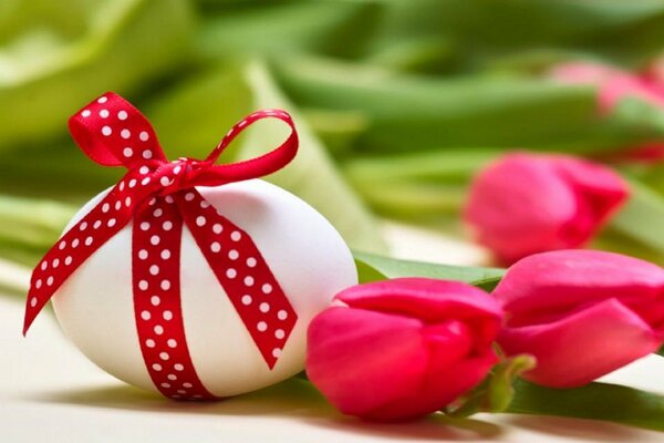 The egg is wrapped in a red ribbon. The egg lies next to the tulips