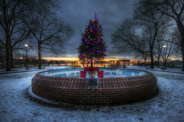 Foto Città sera albero di Natale con luci al centro della fontana