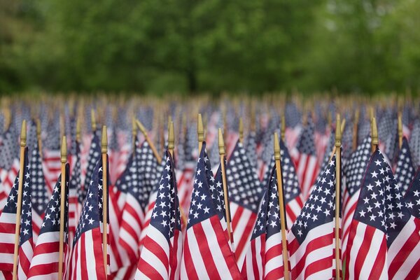 A large number of US flags