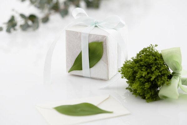 Caja de regalo con cinta blanca y pequeño ramo verde