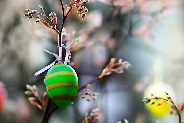 Macro photography of an Easter egg on a branch