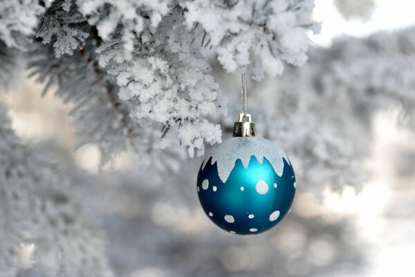 Blue New Year s ball on a snow-covered branch