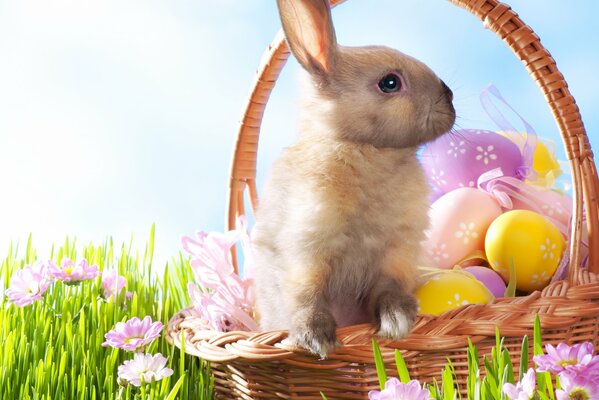 Пасхальный кролик сидит в корзинке с цветными яйцами