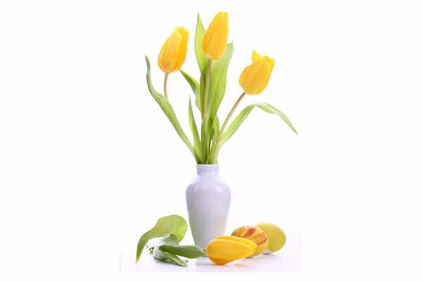 Tulipes jaunes délicates dans un vase blanc