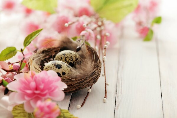 Перепелиное гнездо среди розовых цветов