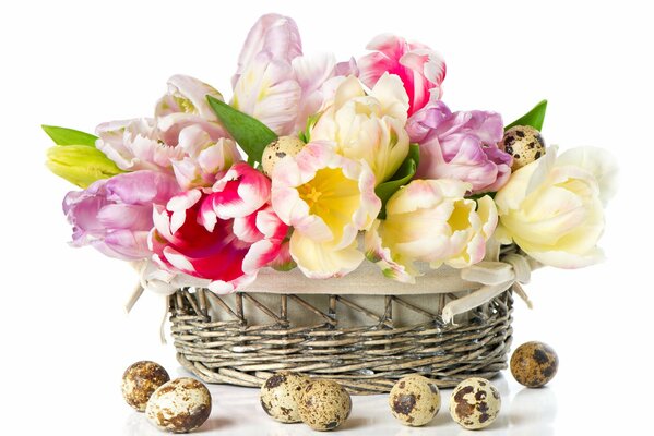 Easter card. A basket with tulips and quail eggs