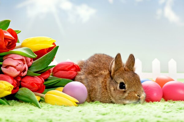 Tarjeta de Pascua. Conejo, tulipanes y huevos teñidos