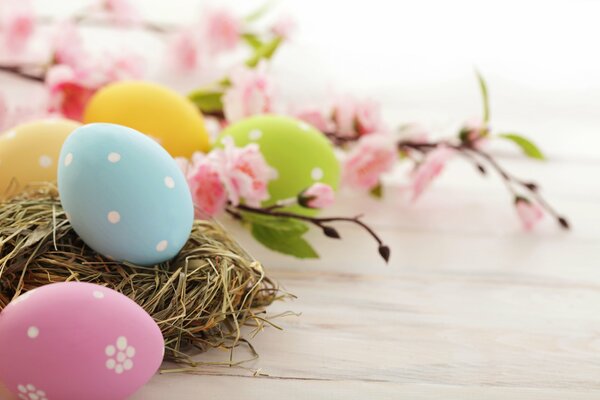 Uova di Pasqua di diversi colori giacciono accanto a un ramo