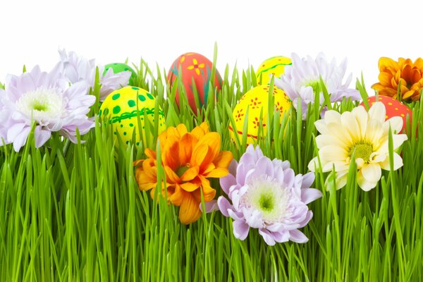 Green grass with Easter eggs and flowers