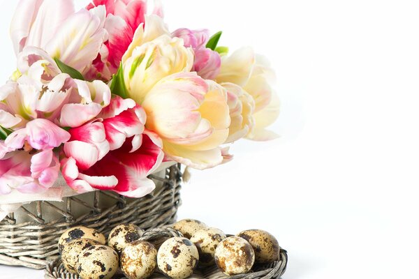 Tulips in a basket a wicker plate with quail eggs