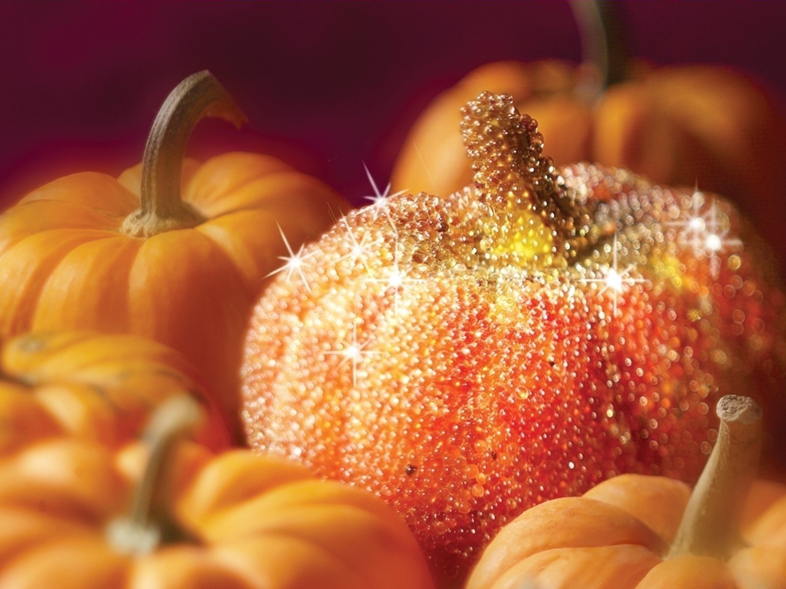 halloween citrouille sucre paillettes