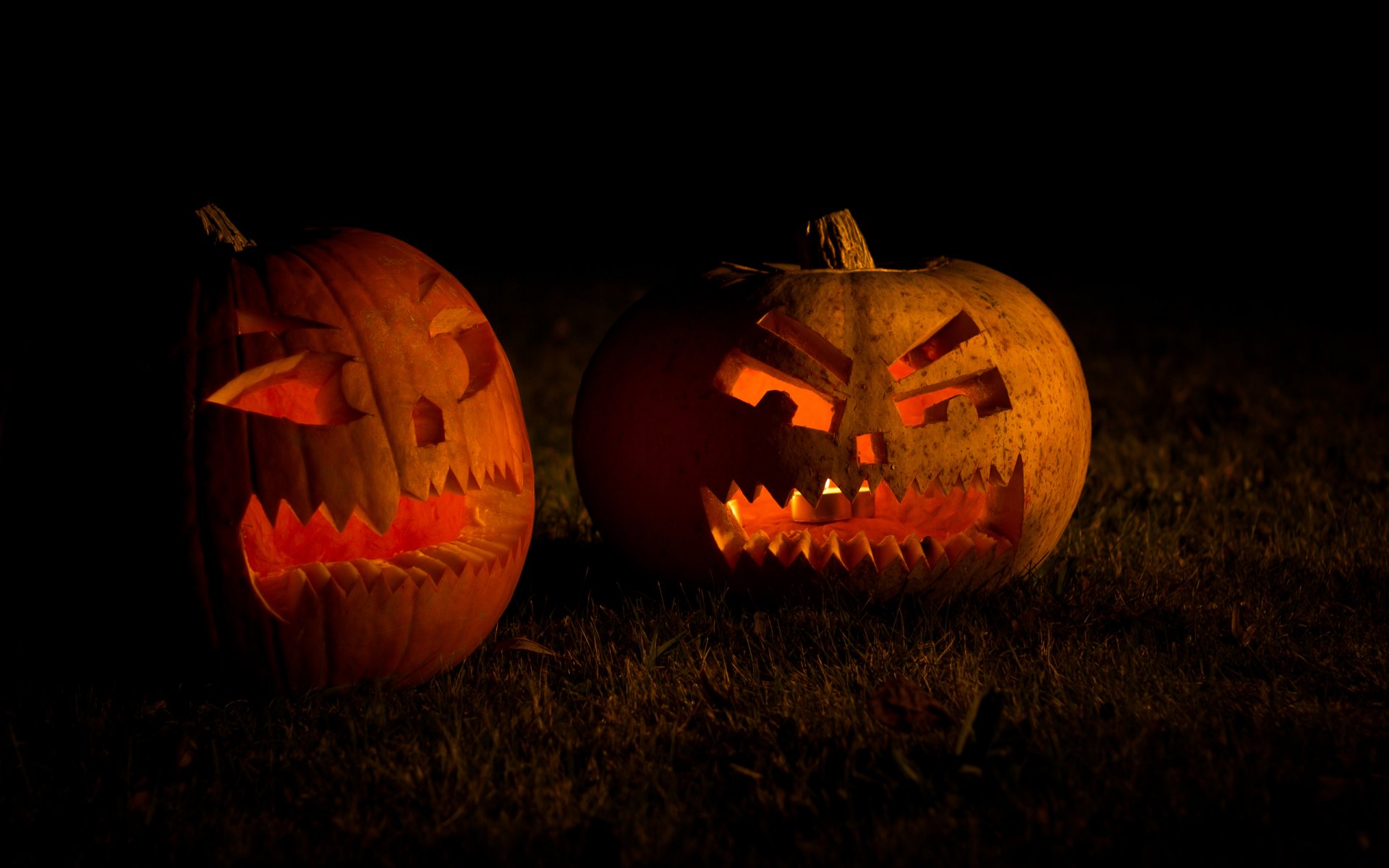 halloween vacances citrouilles nuit herbe lumière bougies vacances bougies 2560x1600