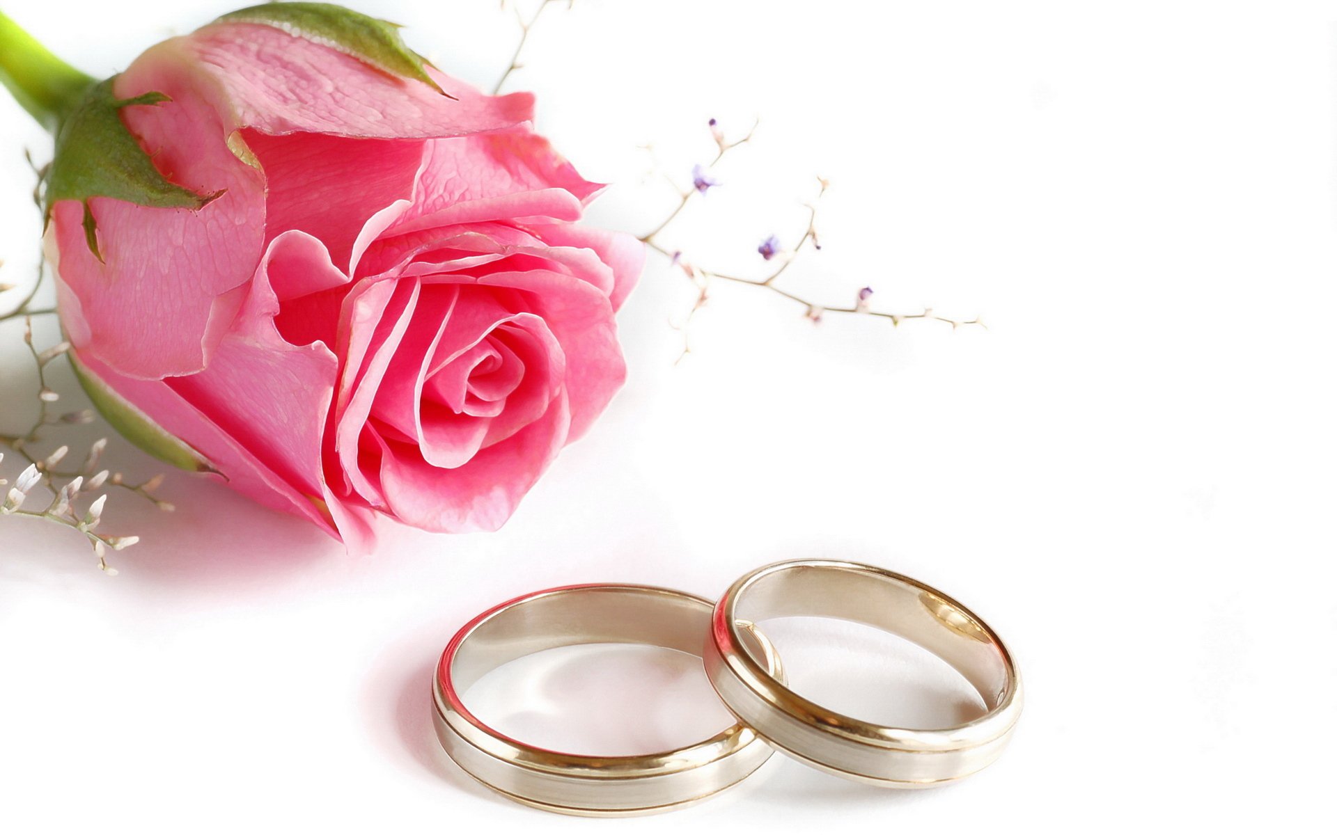 boda anillos rosa