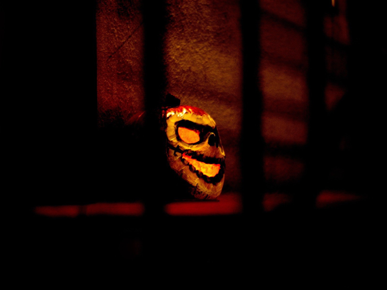 citrouille obscurité halloween halloween