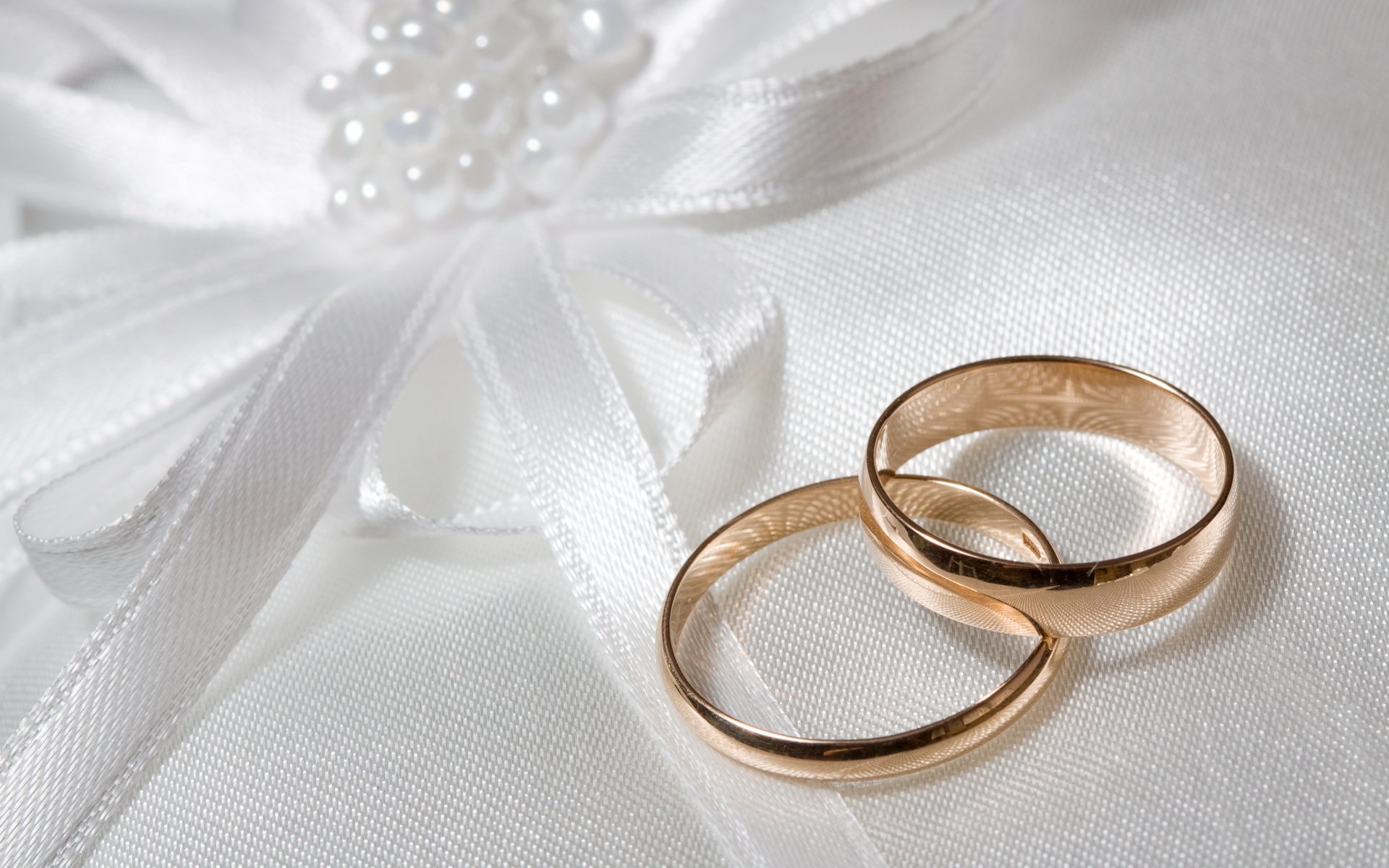 bow wedding rings wedding white background