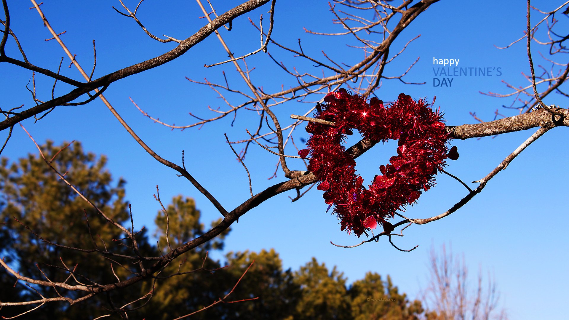 cuore amore romanticismo san valentino vacanza