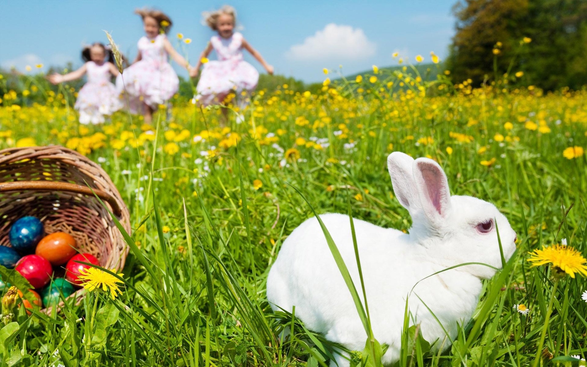 blanc lapin panier panier multicolore oeufs pâques clairière pissenlits trio filles robes humeur fleurs printemps ciel nuages joie émotion