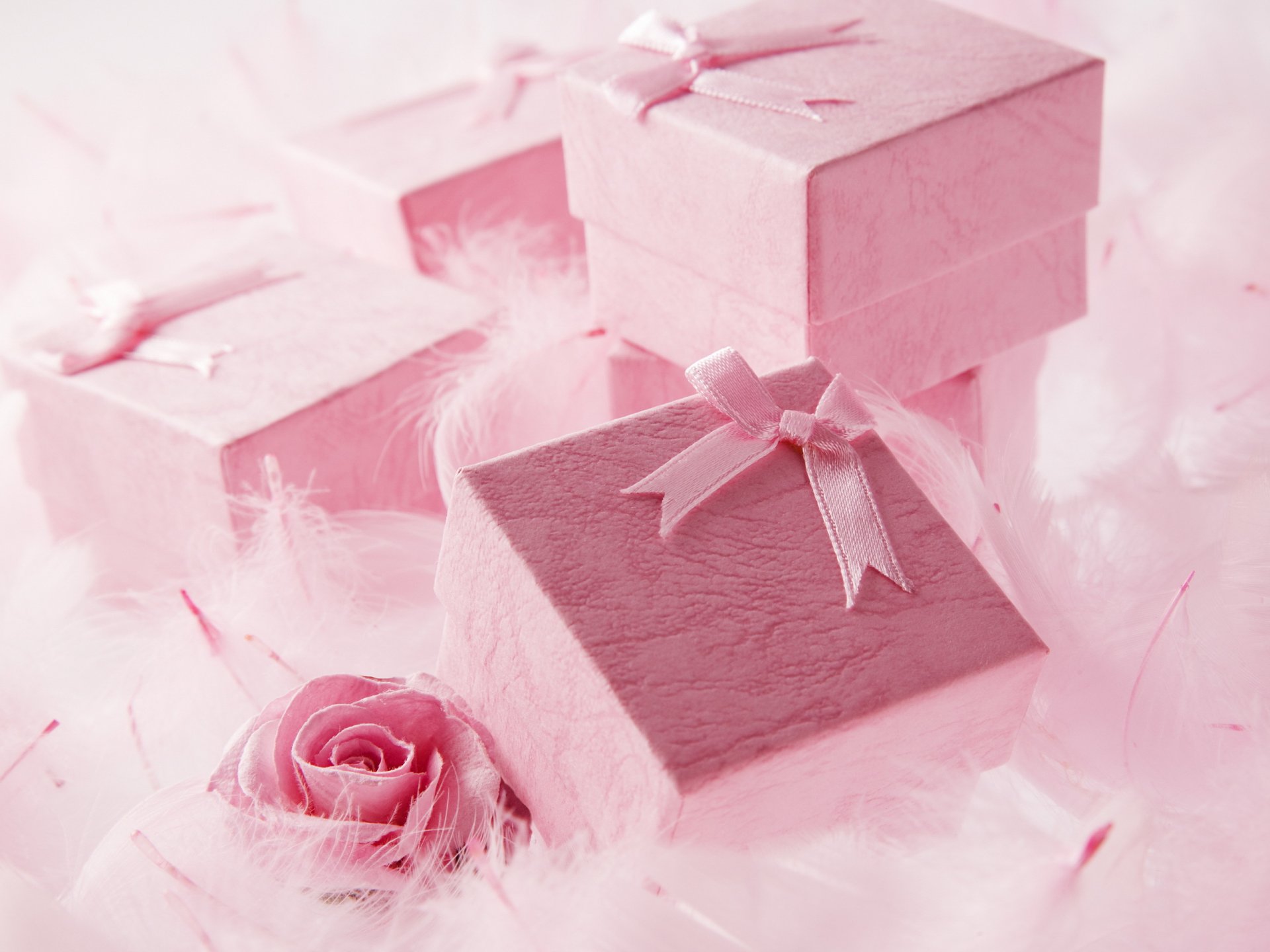 urlaub geschenke boxen rosa überraschung perlen perlen