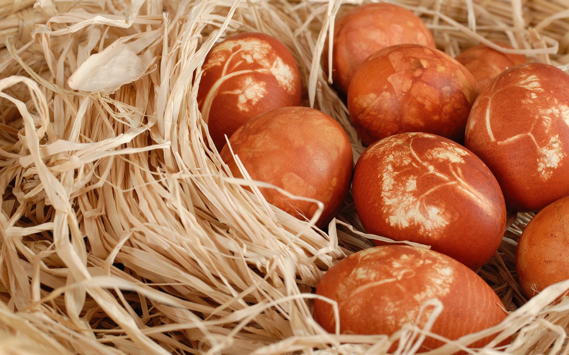 background eggs shell flowers close up easter