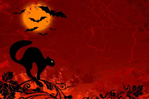 Tema de fondo de gato para Halloween