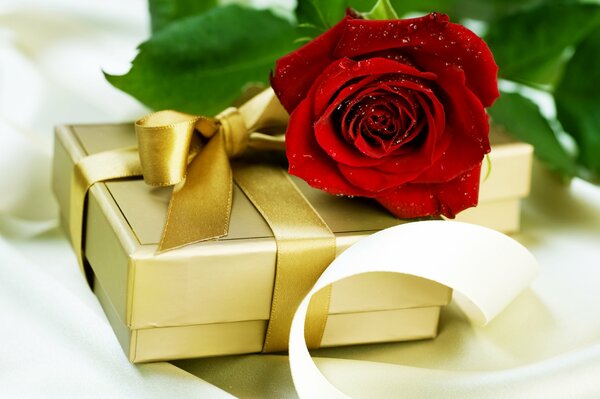 Caja de regalo de rosa roja