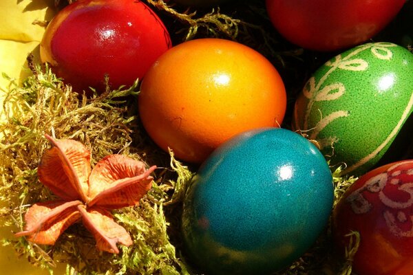 Huevos de Pascua de todos los colores