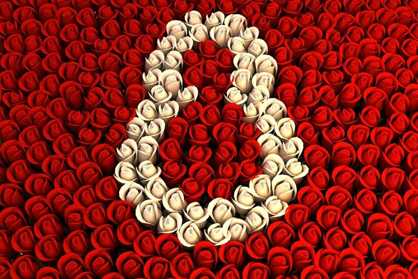 Rose bianche su uno sfondo di rose rosse e congratulazioni per l 8 marzo