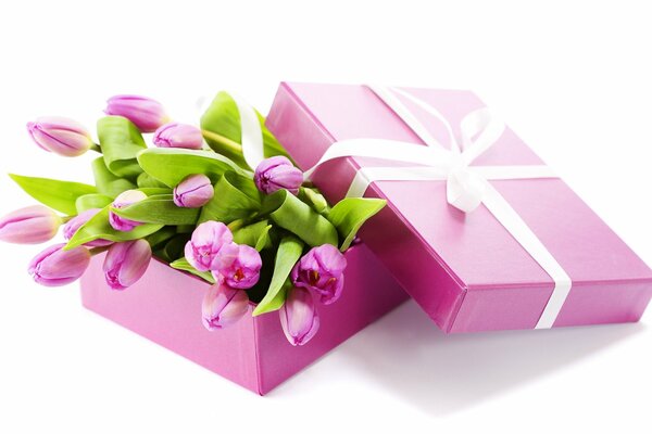 Różowe tulipany w pudełku