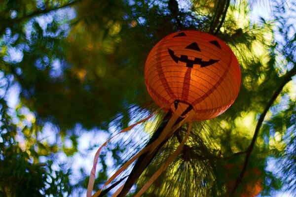 Chinese lantern in the form of a pumpkin