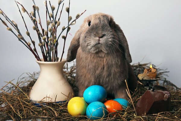 Easter bunny. Willow. Eggs. Easter