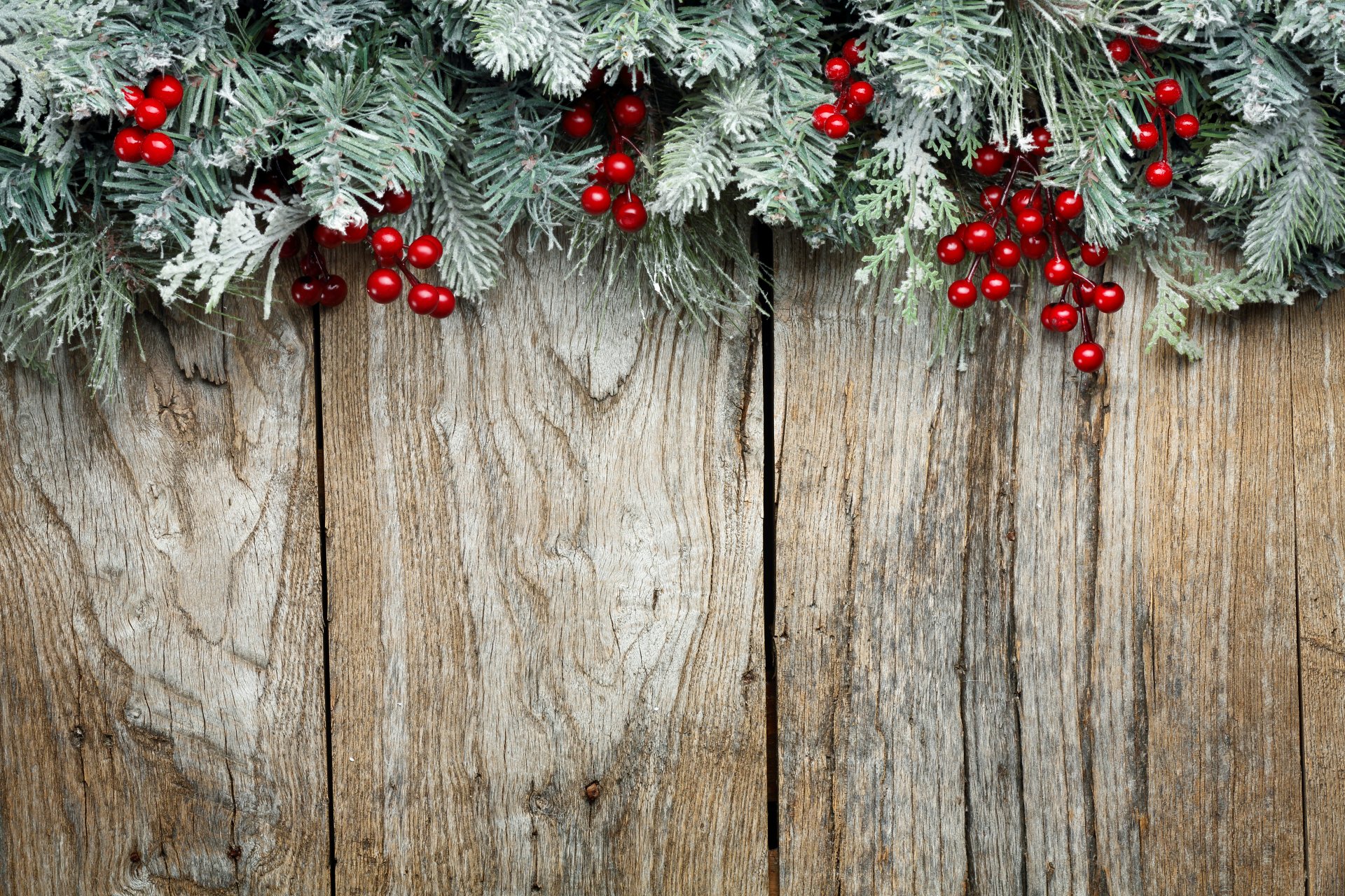 feliz navidad decoración árbol año nuevo árbol de navidad ramas bayas