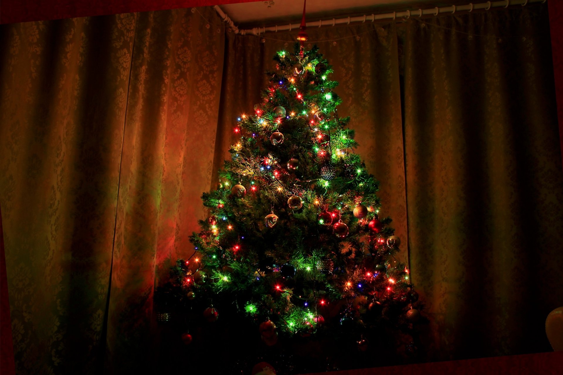 happy new year merry christmas christmas tree 2015 new year spruce hd