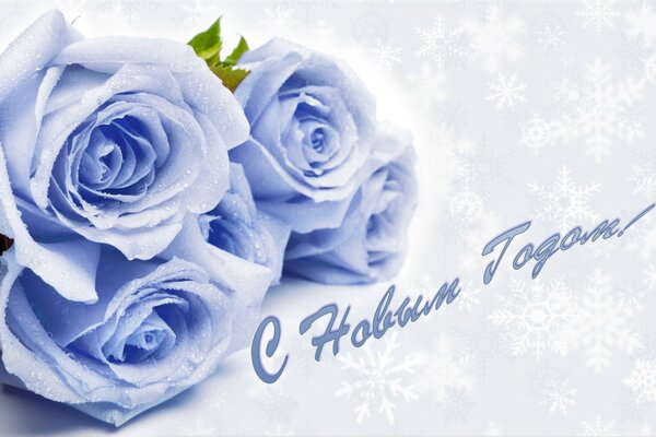 HAPPY NEW YEAR, I WISH YOU WONDERFUL MOMENTS IN THE PLACE OF BLUE ROSES OF LOVE