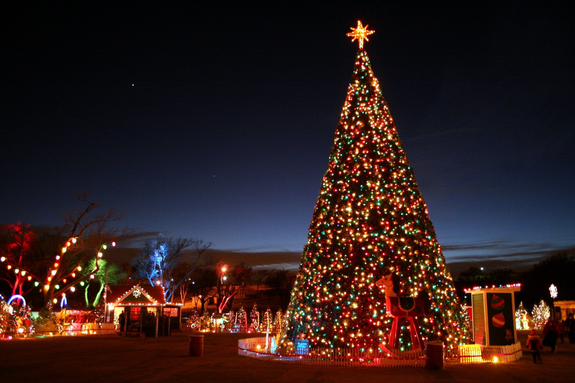 christmas tree new year christmas new city