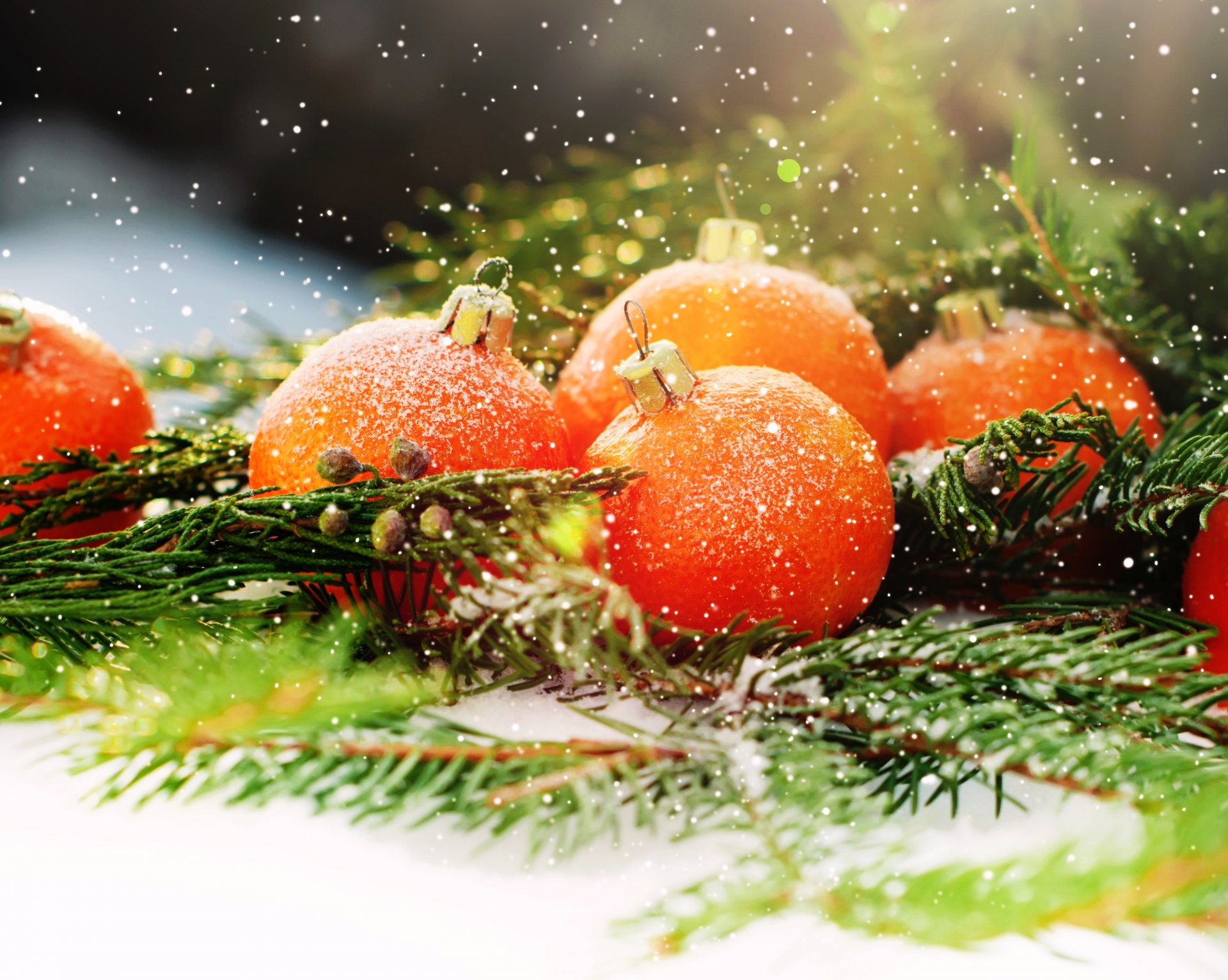 fröhlich weihnachten dekoration neujahr weihnachtsbaum orangen obst schnee