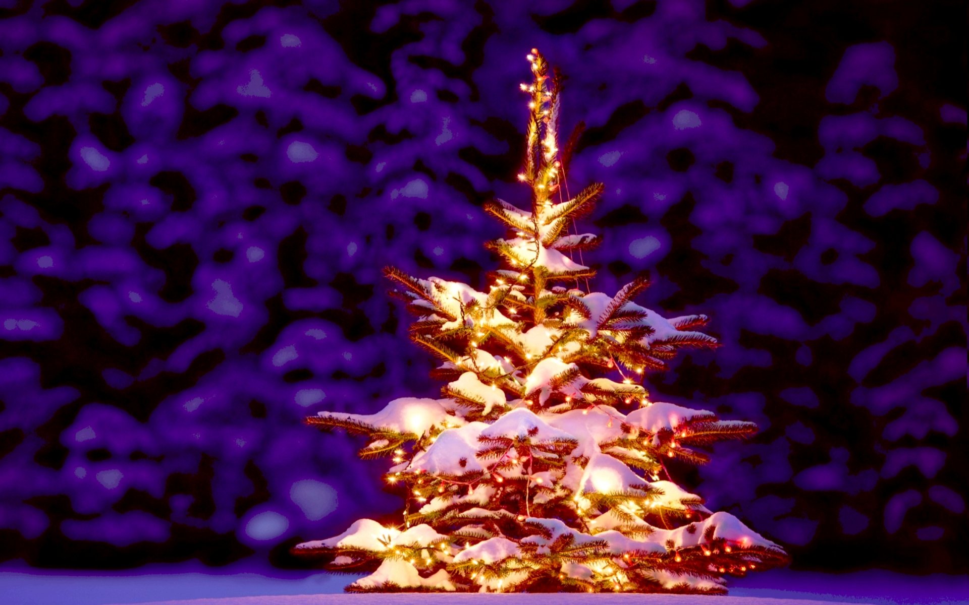 2015 happy new year golden fireworks year of the goat christmas tree christmas christmas tree spruce hd