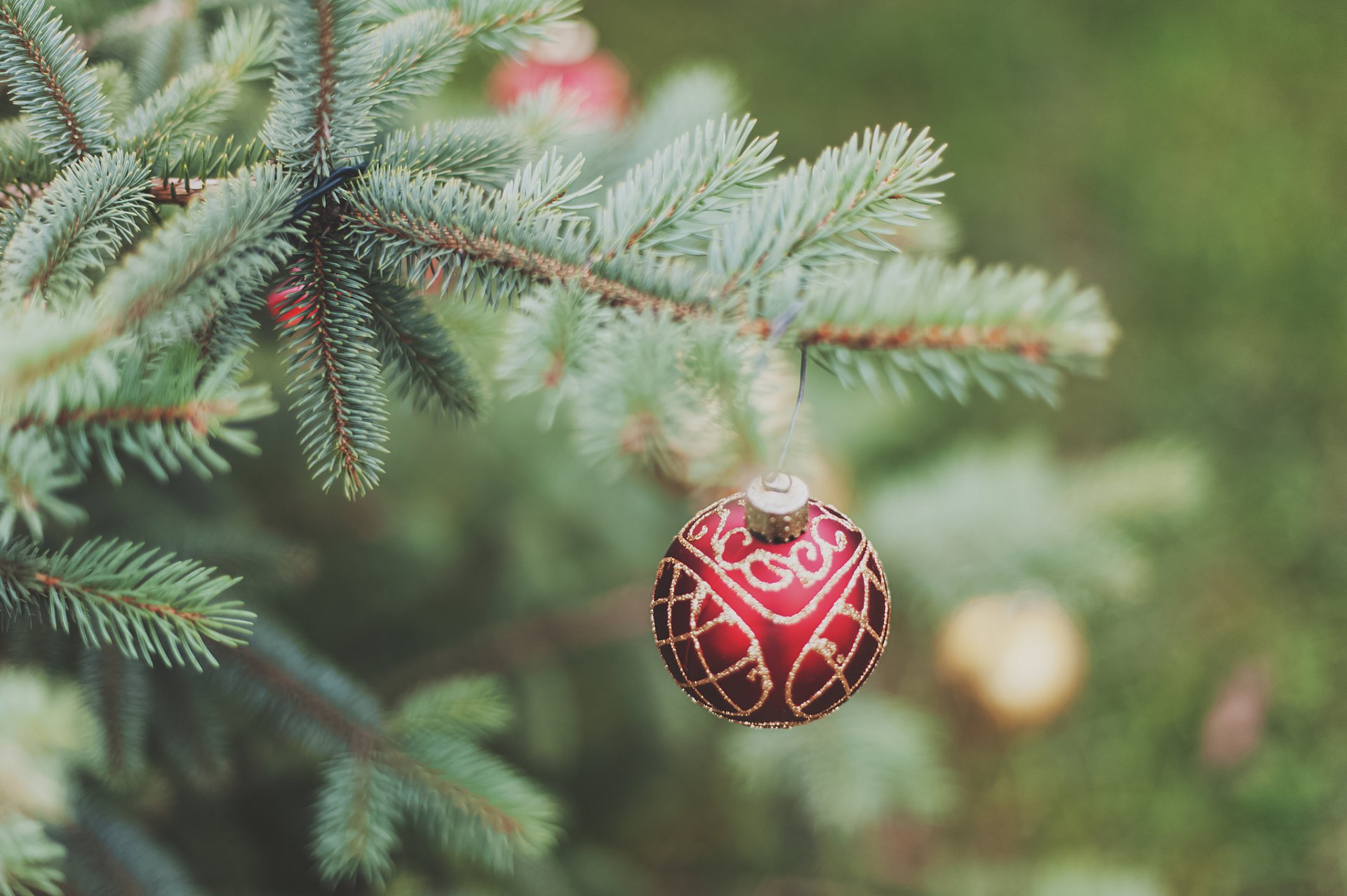 año nuevo árbol de navidad árbol rama agujas bola juguete decoración