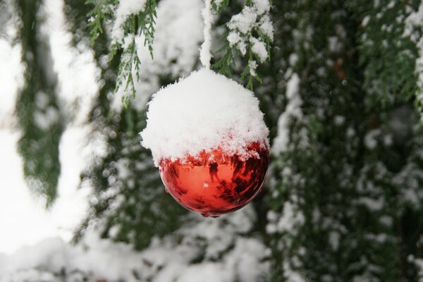 Отражение в шарике и снег на верху