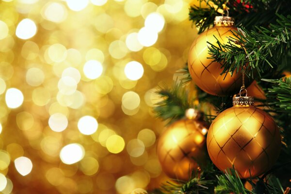 Spruce branches and golden balls on a bright background